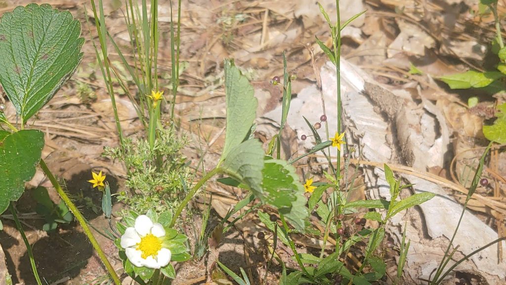 A Good Cold&nbsp;One